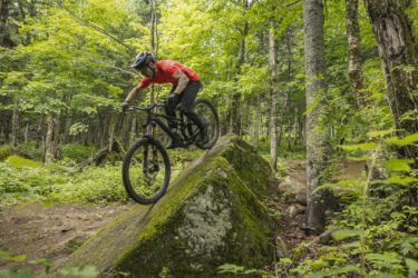 A mountain biker navigating a moss-covered rock in a lush forest setting, showcasing skill and balance while riding a black mountain bike. Dense greenery and trees surround the trail, providing a vibrant outdoor backdrop. Le Massif de Charlevoix mountain bike trail.