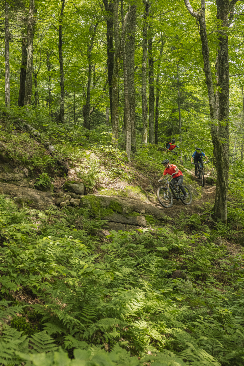 Mountain bikers navigating a forest trail surrounded by lush green trees and ferns on a sunny day. Le Massif de Charlevoix mountain bike trail.