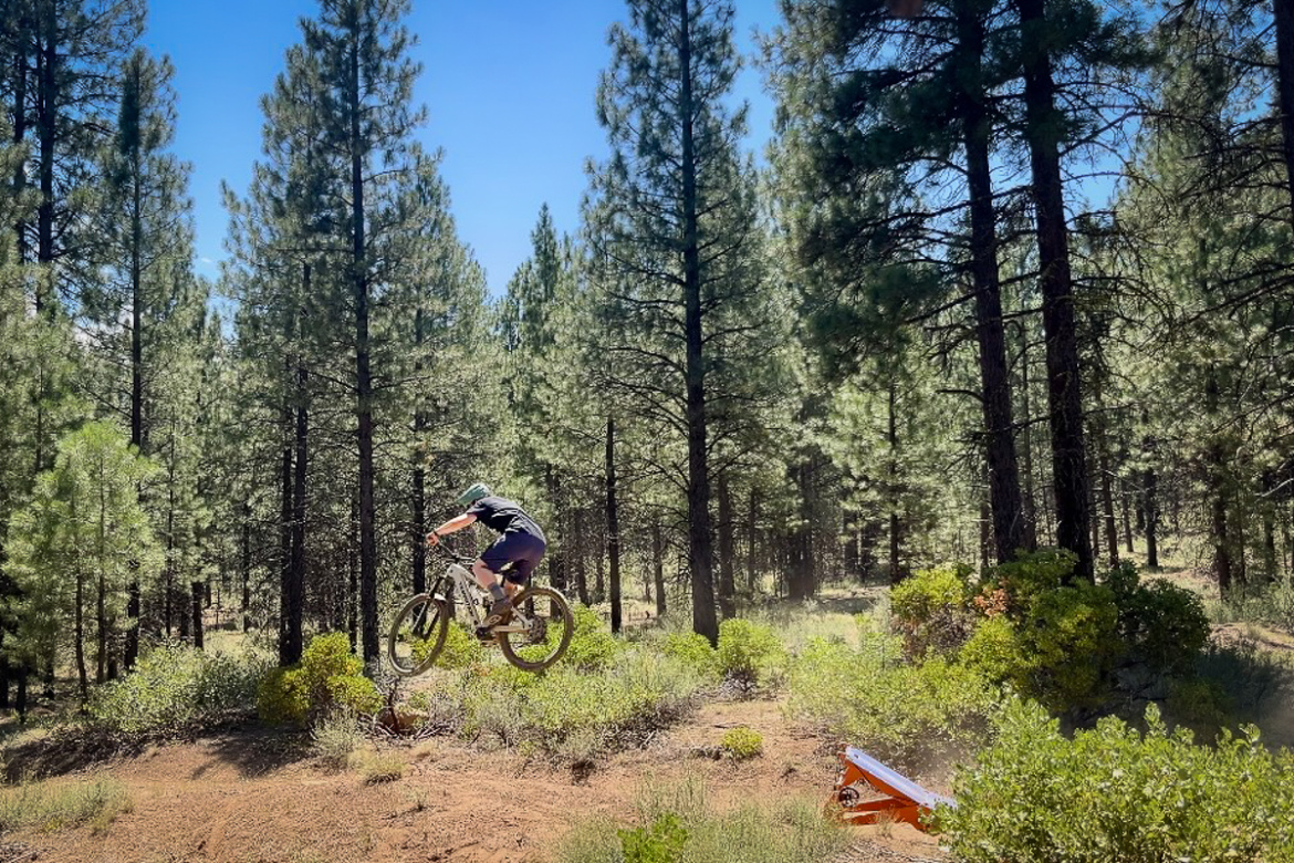 A person riding a mountain bike jumps off a small ramp in a forested area filled with tall pine trees and lush greenery under a clear blue sky.