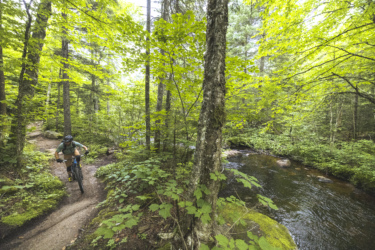 A mountain biker navigating a dirt trail through a lush green forest, with tall trees and vibrant foliage surrounding a calm stream. Neilson Nord mountain bike trail.