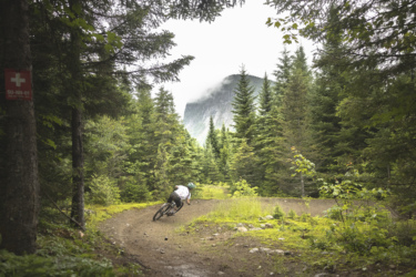 A mountain biker navigates a winding trail through a lush, green forest, with tall trees on either side. In the background, a misty mountain peak is partially obscured by clouds, creating a serene and adventurous atmosphere. A sign attached to a tree on the left indicates a trail marker. Neilson Nord mountain bike trail.