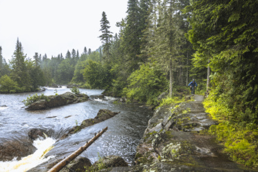 A scenic view of a river winding through a forested landscape, with misty mountains in the background. A cyclist rides along a natural stone path beside the water, surrounded by lush greenery and tall trees. The atmosphere is tranquil, showcasing the beauty of nature in a serene setting. Neilson Nord mountain bike trail.