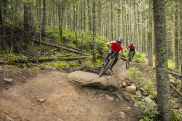 Two mountain bikers wearing red shirts navigate a winding dirt trail through a lush forest. They are riding over a rocky section of the path, surrounded by tall trees and greenery, showcasing an adventurous outdoor scene. Le Massif de Charlevoix mountain bike trail.
