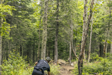 A mountain biker riding down a dirt path in a lush green forest, surrounded by tall trees and dense foliage. The rider is leaning forward, navigating a turn on the trail. Le Massif de Charlevoix mountain bike trail.
