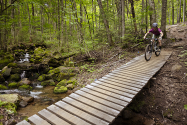 A cyclist riding a mountain bike on a wooden bridge over a small stream in a dense, green forest. The scene features lush trees and moss-covered rocks, creating a serene natural setting. Mont-Sainte-Anne mountain bike trail.
