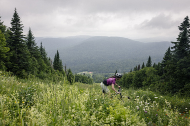A cyclist in a helmet bends down beside a mountain bike in a lush green field, surrounded by tall grasses and wildflowers. The scene features a misty mountain landscape in the background, with trees lining the hillside. Overcast skies dominate above, creating a serene outdoor atmosphere. Mont-Sainte-Anne mountain bike trail.