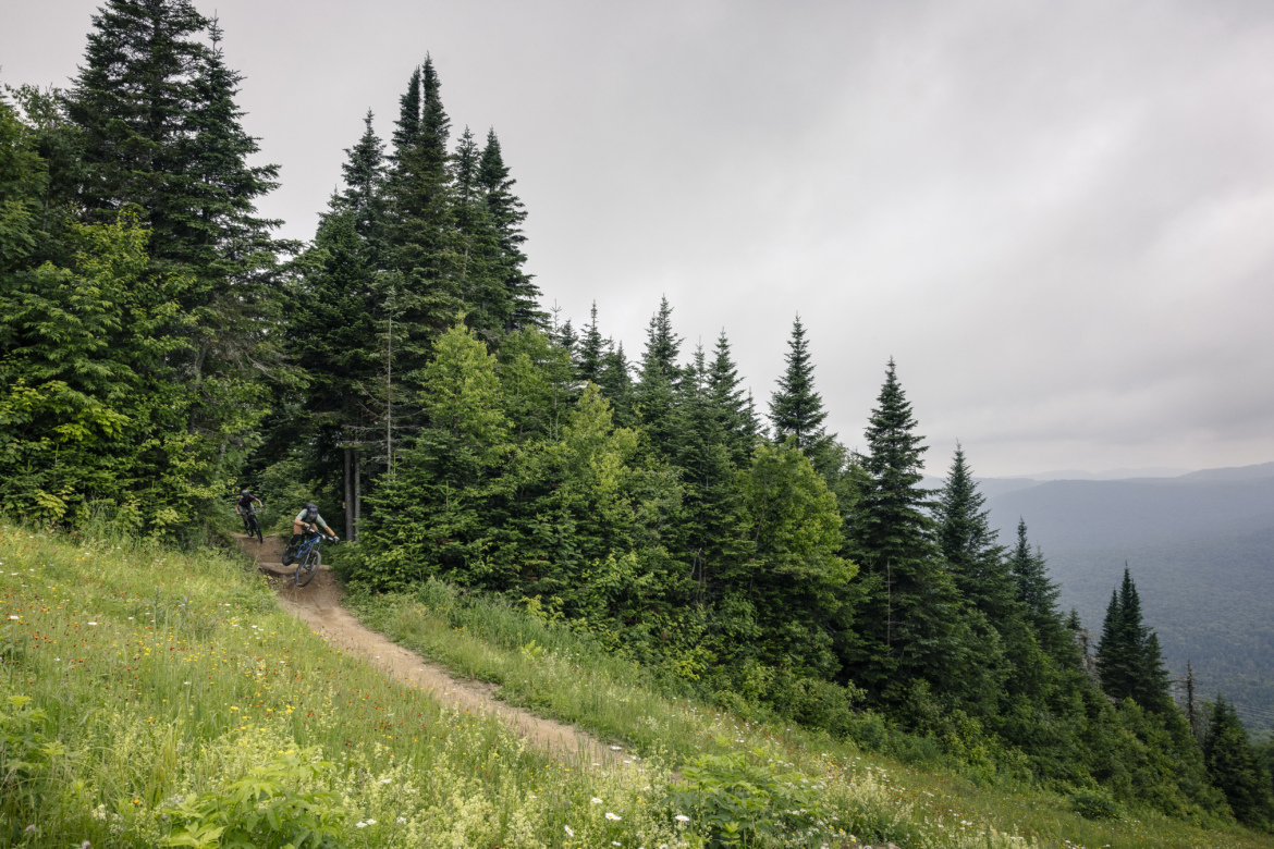 Two mountain bikers navigating a downhill dirt path surrounded by lush greenery and tall coniferous trees, with a cloudy sky overhead and a distant mountain range visible in the background. Wildflowers adorn the grassy area beside the trail.