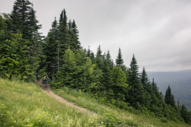 Two mountain bikers riding along a dirt trail surrounded by lush green trees and a scenic mountainous landscape under a cloudy sky. Wildflowers are visible in the foreground, adding pops of color to the natural setting. La Vietnam mountain bike trail.