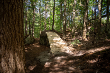 A wooden bridge spans a small gap in a forested area, surrounded by trees and large stones. Sunlight filters through the leaves, casting dappled shadows on the ground. The path leading to the bridge is earthy and natural, inviting exploration. Loon Mountain Resort mountain bike trail.