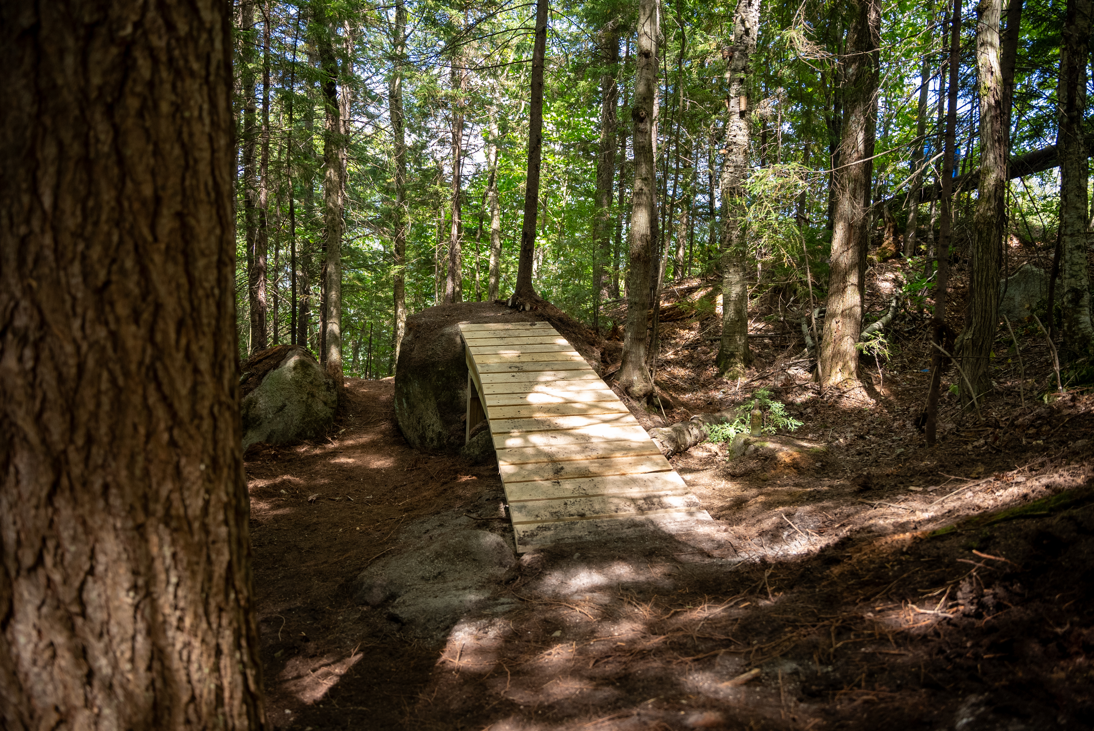 A wooden bridge spans a small gap in a forested area, surrounded by trees and large stones. Sunlight filters through the leaves, casting dappled shadows on the ground. The path leading to the bridge is earthy and natural, inviting exploration. Loon Mountain Resort mountain bike trail.