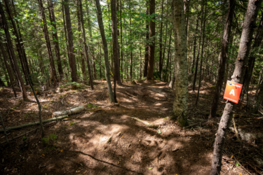 A narrow dirt trail winding through a dense forest, surrounded by tall trees with green foliage. A trail marker labeled "A" is visible on a tree trunk to the right. Sunlight filters through the leaves, casting shadows on the ground. Loon Mountain Resort mountain bike trail.