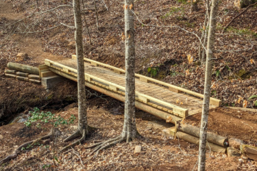 A wooden bridge spanning a small creek in a forested area, surrounded by bare trees and fallen leaves. The bridge is made of planks and logs, blending naturally with the landscape, and a dirt path leads up to it from one side. Saluda Confluence Recreation Area mountain bike trail.