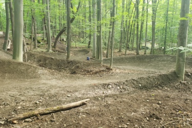 A winding dirt path through a forest, surrounded by tall, green trees. The trail features mounds and curves, suggesting it is designed for biking or hiking. Sunlight filters through the leaves, creating a serene, natural atmosphere. Wilderness Tours Bike Park mountain bike trail.