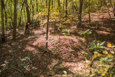 A mountain biker navigates a winding forest trail, surrounded by trees with green and orange leaves, on a sunny autumn day. The ground is covered in fallen leaves, and soft light filters through the canopy. Carvin's Cove Trail system mountain bike trail.