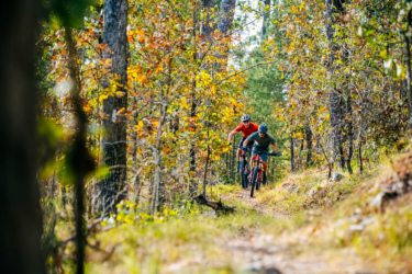 Two mountain bikers navigating a winding trail surrounded by trees with autumn-colored leaves. Sunlight filters through the canopy, highlighting the vibrant foliage and the riders in action as they maneuver through the scenic forest path. Lake Ouachita Vista Trail (LOViT) mountain bike trail.
