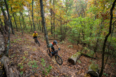 Two mountain bikers navigate a winding trail through a forest with autumn foliage, showcasing vibrant greens and yellows. The trail is covered in fallen leaves, and both riders are wearing helmets and appropriate biking gear. One biker is in the foreground focusing on the path while the other follows slightly behind. Womble mountain bike trail.