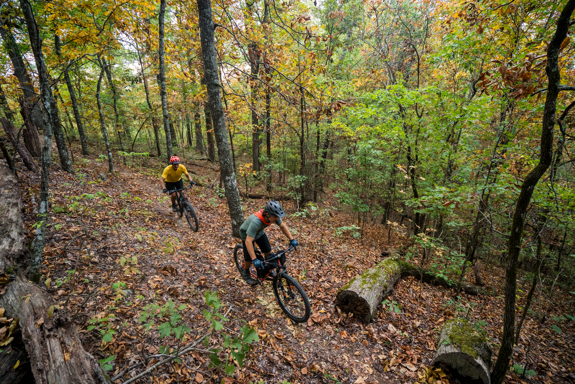 Two mountain bikers navigate a winding trail through a forest with autumn foliage, showcasing vibrant greens and yellows. The trail is covered in fallen leaves, and both riders are wearing helmets and appropriate biking gear. One biker is in the foreground focusing on the path while the other follows slightly behind. Womble mountain bike trail.