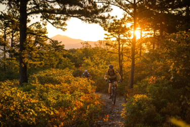 Two mountain bikers riding on a wooded trail during sunset, with trees and vibrant foliage surrounding them. The sun is setting in the background, casting warm light and highlighting the scenic landscape. Dody Ridge mountain bike trail.