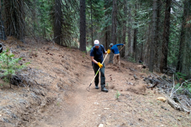 Two individuals are working on a forest trail, using tools to clear debris and maintain the path. One person, wearing a cap and gloves, is focused on the ground with a rake-like tool, while the other is further back, also engaged in trail maintenance. The scene is set among tall trees with patches of pine needles and greenery surrounding the trail. Gateway Trails mountain bike trail.