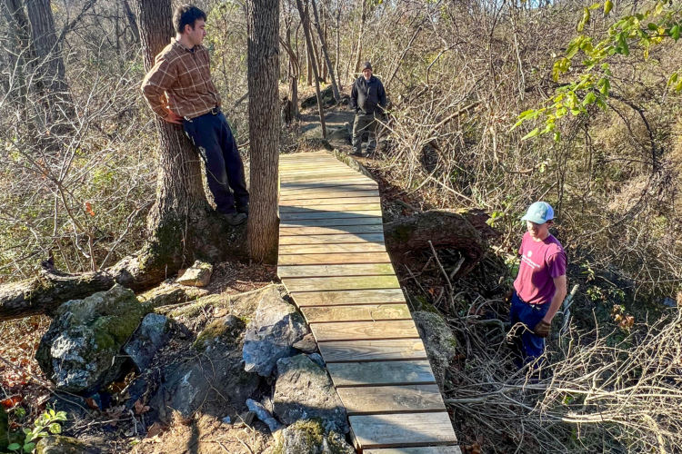 Three individuals are working in a wooded area, surrounded by trees and brush. One person leans against a tree, while the other two are standing on a wooden path that traverses rocky terrain. The setting appears to be a natural environment, possibly involving trail maintenance or construction. The sunlight filters through the trees, illuminating the scene.