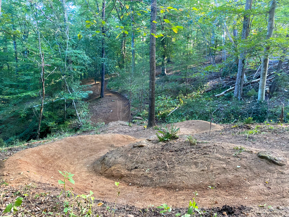 A winding dirt bike trail meanders through a lush green forest, surrounded by tall trees and underbrush. The trail features a banked turn with a small jump, showcasing the natural terrain and inviting outdoor enthusiasts for an adventure in nature.