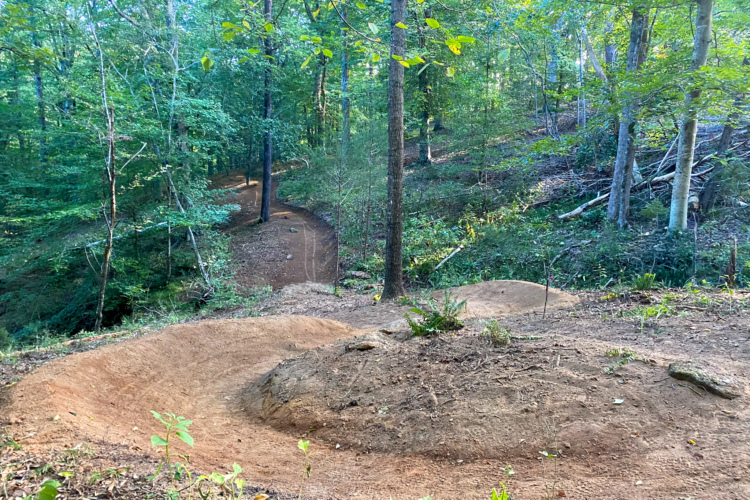A winding dirt bike trail meanders through a lush green forest, surrounded by tall trees and underbrush. The trail features a banked turn with a small jump, showcasing the natural terrain and inviting outdoor enthusiasts for an adventure in nature.
