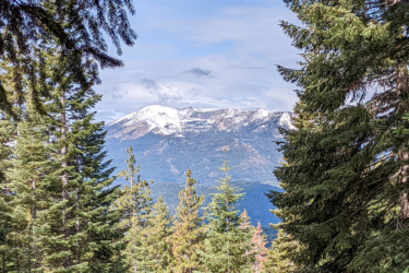 A scenic view of mountains partially covered in snow, framed by lush green trees in the foreground. The sky is mostly clear with some clouds. Gateway Trails mountain bike trail.