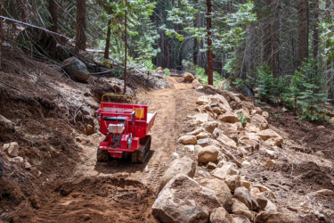 A red, small tracked dumper vehicle is driving on a dirt path in a forested area. The path is surrounded by large rocks and trees, creating a rugged, natural environment. Sunlight filters through the branches, illuminating the trail.