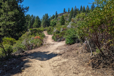 A dirt hiking trail meanders through a vibrant green landscape, surrounded by a variety of shrubs and trees under a clear blue sky. The path gently curves, inviting exploration in a serene natural setting. Gateway Trails mountain bike trail.