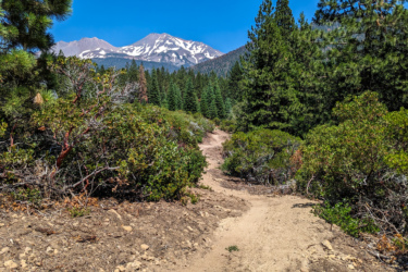 A scenic hiking trail winding through dense greenery, with vibrant bushes and tall pine trees on either side. In the background, a snow-capped mountain peak rises against a clear blue sky, creating a beautiful natural landscape. Gateway Trails mountain bike trail.