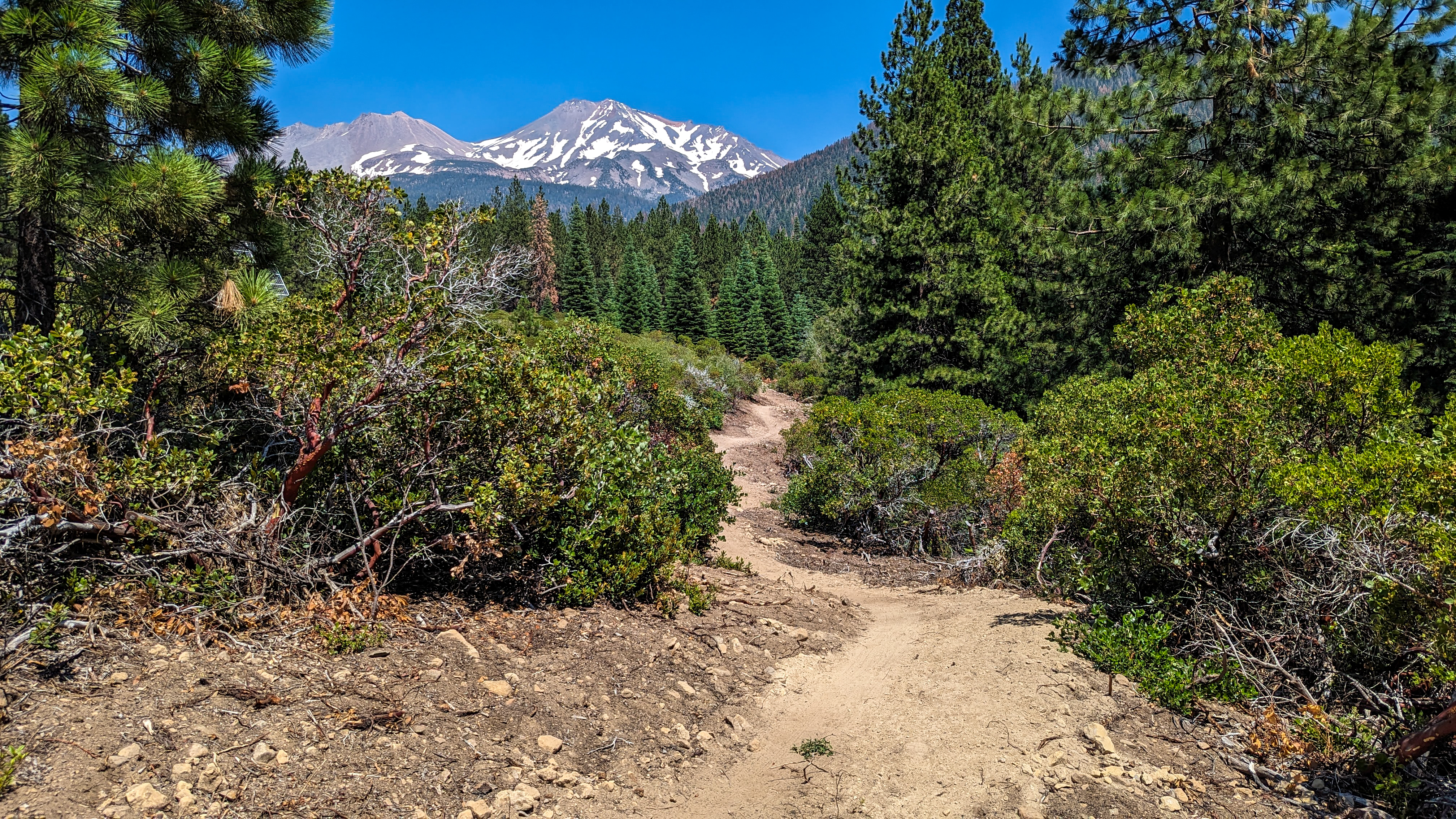 A scenic hiking trail winding through dense greenery, with vibrant bushes and tall pine trees on either side. In the background, a snow-capped mountain peak rises against a clear blue sky, creating a beautiful natural landscape. Gateway Trails mountain bike trail.