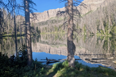 A serene lake surrounded by trees, with a clear blue sky reflecting in the water. The distant mountains rise steeply, mirrored in the lake's still surface, creating a peaceful natural scene. CDT: Togwotee Pass to Jade Lake mountain bike trail.