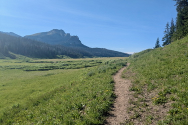A winding dirt path surrounded by lush green grass and wildflowers, leading towards a mountain range under a clear blue sky. The scene conveys a serene and picturesque landscape, perfect for hiking or outdoor exploration. CDT: Togwotee Pass to Jade Lake mountain bike trail.