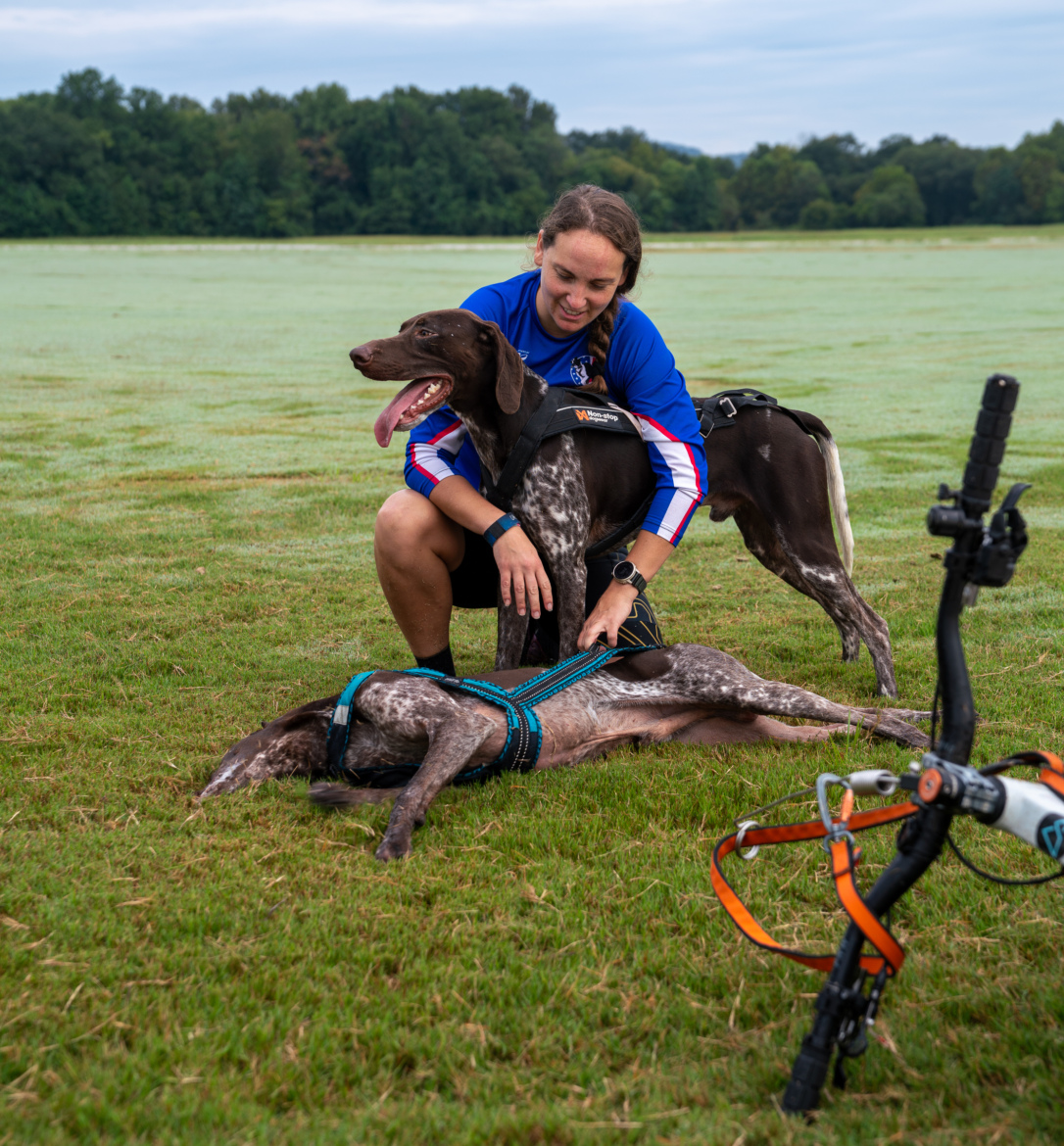 A person kneeling on grass interacts with two dogs, one sitting upright and looking playful, while the other lies down calmly. Both dogs are wearing harnesses. In the background, a bike with accessories is visible, and there are trees in the distance under a cloudy sky.