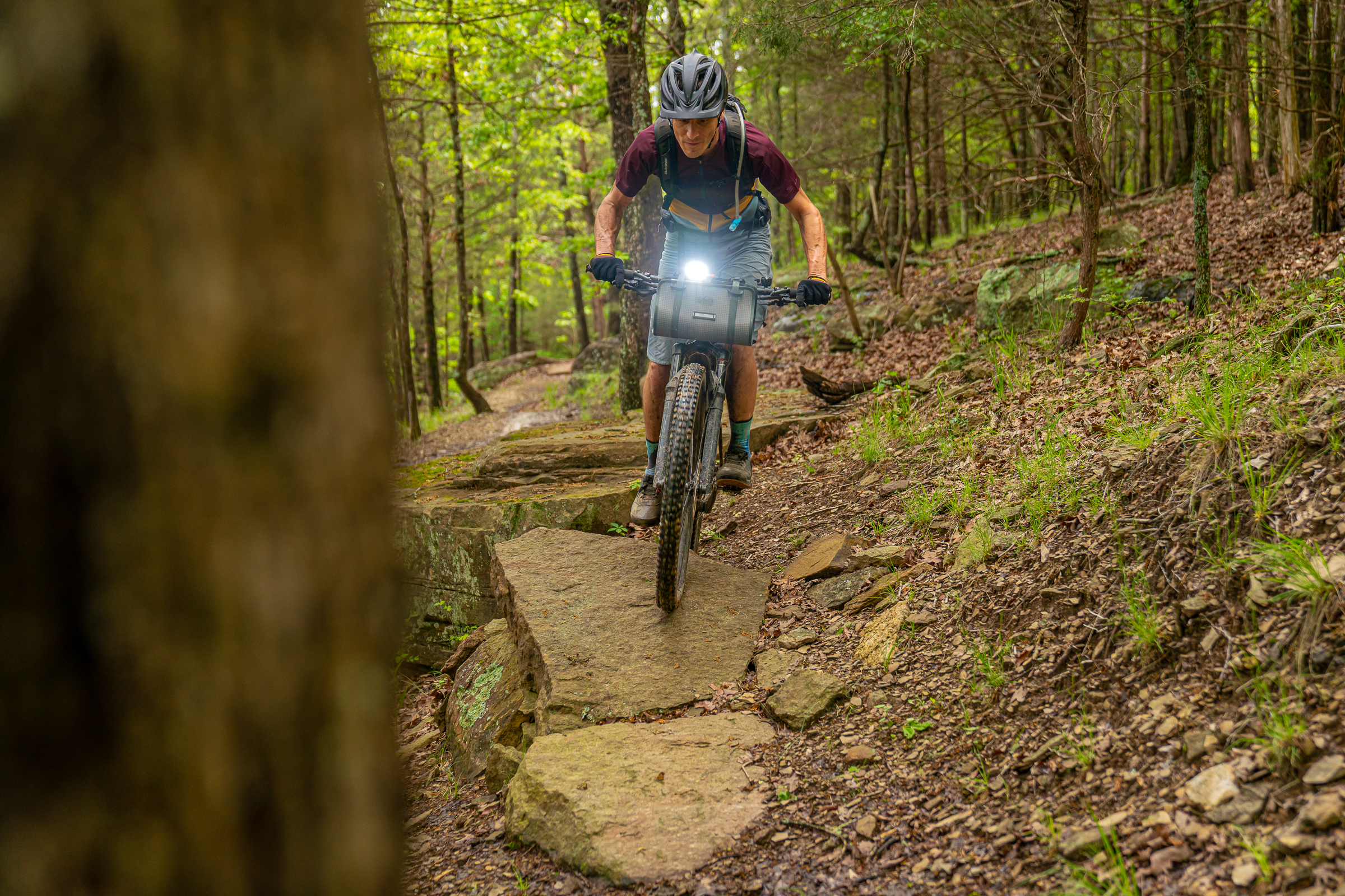 A mountain biker navigating a rocky trail in a lush green forest, focused on maneuvering over a large stone while riding their bike. Centennial Park mountain bike trail.