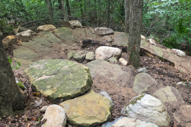 Rocky terrain in a forested area, featuring a mix of large and small stones, dirt, and scattered leaves, surrounded by trees and dense greenery. Palmer Woods Forest Reserve mountain bike trail.