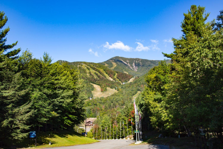 A scenic view of a mountain range with lush green trees in the foreground, and a clear blue sky above. The mountains show signs of ski trails and are partially covered with trees, indicating a picturesque outdoor setting. In the lower part of the image, a paved road is visible, flanked by several flagpoles.