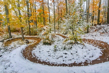 A winding dirt path covered with a dusting of snow surrounded by trees with autumn leaves in shades of orange and yellow. The scene captures the transition between fall and winter in a serene forest setting. Palmer Woods Forest Reserve mountain bike trail.