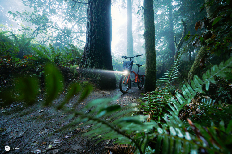 A bright orange bicycle stands on a muddy trail surrounded by tall trees and lush green ferns in a misty forest. The bike's front light is illuminated, cutting through the fog. The scene captures a serene and adventurous atmosphere, showcasing the beauty of nature.