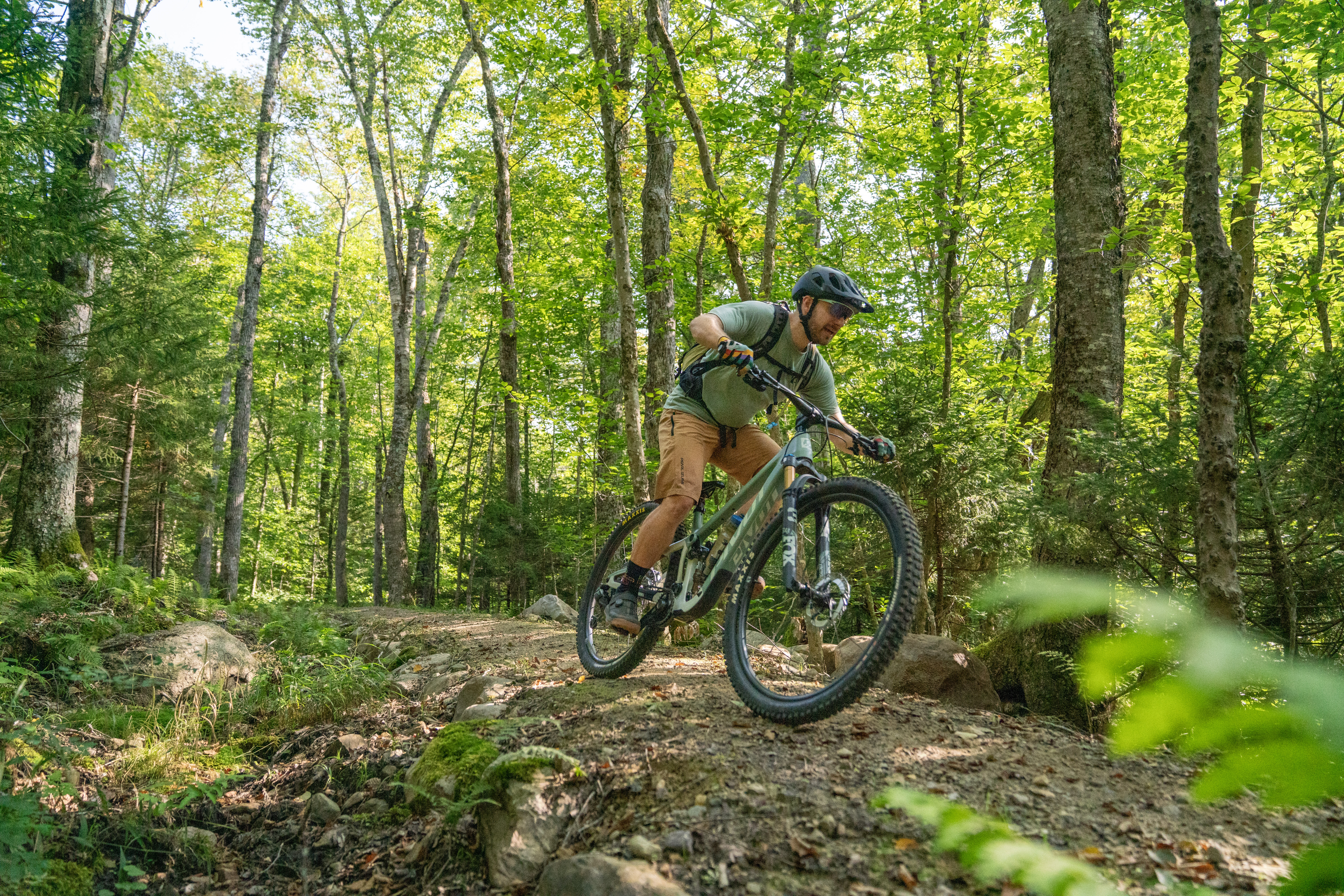 A person riding a mountain bike on a dirt trail surrounded by lush green trees. The cyclist wears a helmet and is focused on navigating the trail, which features rocks and foliage, indicating a natural outdoor setting. Sunlight filters through the leaves, creating a vibrant and active atmosphere. Silver Moose mountain bike trail.