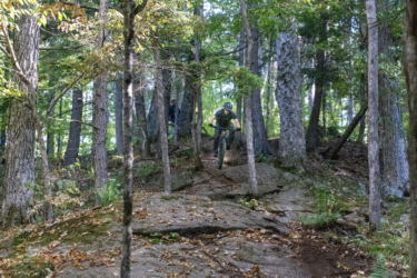 A mountain biker navigating a rocky trail surrounded by trees, with autumn foliage visible on the ground. Mt. Peg mountain bike trail.