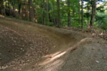 A winding dirt path in a lush forest, with sunlight filtering through the green leaves above, casting shadows on the ground. The path appears soft and slightly elevated, surrounded by trees and scattered leaves. Mt. Peg mountain bike trail.