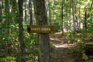 A wooden sign labeled "Schist Creek" attached to a tree beside a winding trail in a lush green forest. The sign is adorned with a diamond shape and colorful trail markers. Sunlight filters through the trees, illuminating the path covered with fallen leaves. Mt. Peg mountain bike trail.