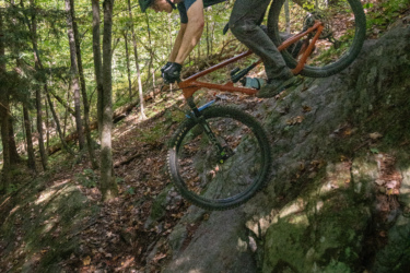 A mountain biker navigating a rocky descent on a wooded trail, surrounded by trees and fallen leaves, wearing a helmet and protective gear. Mt. Peg mountain bike trail.