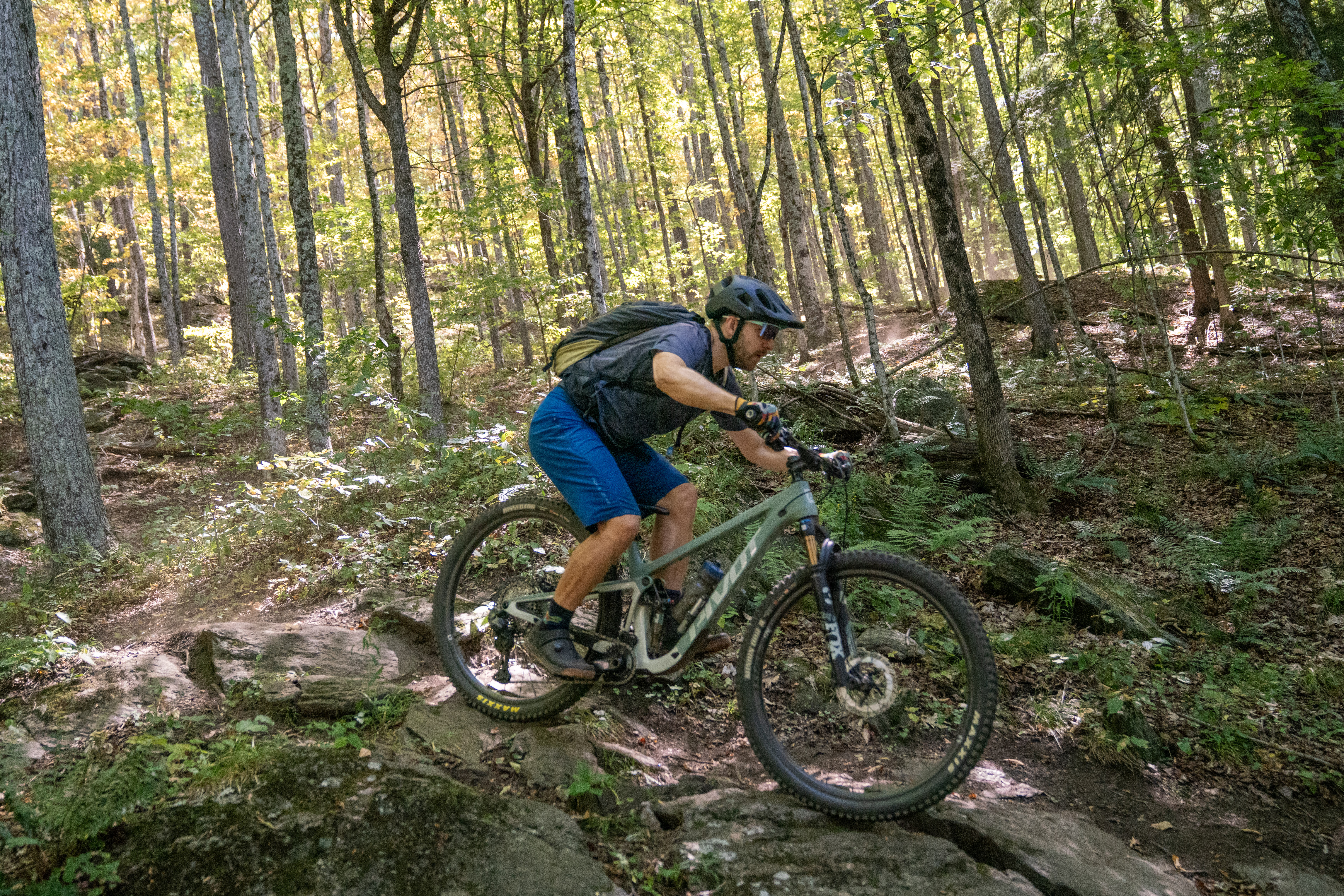 A mountain biker navigating over rocky terrain in a forested area, with tall trees and sunlight filtering through the leaves. The biker is wearing a helmet and riding a modern mountain bike, demonstrating skill and focus on the trail.