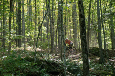 A mountain biker navigating through a sunlit forest trail, surrounded by tall trees and greenery, with dust rising from the ground as the rider leans into a turn. Mt. Peg mountain bike trail.