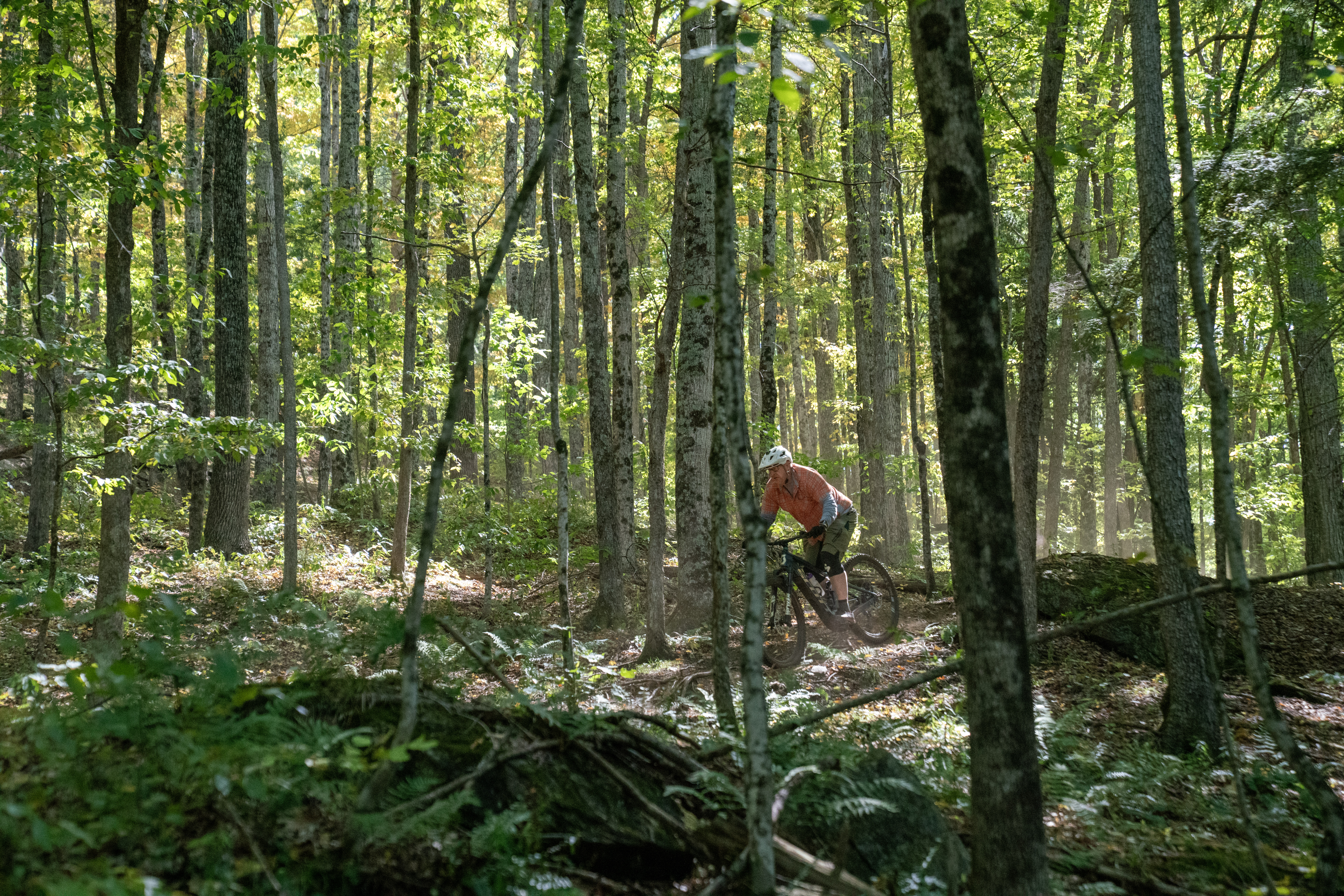 A mountain biker navigating a dirt trail in a lush green forest, surrounded by tall trees and dappled sunlight filtering through the leaves, creating a serene outdoor atmosphere. Dust is being kicked up from the trail as the biker rides through the natural landscape.