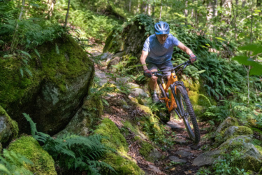 A mountain biker navigating a rugged trail surrounded by lush greenery and moss-covered rocks. Sunlight filters through the trees, illuminating the path as the rider focuses on maneuvering through the natural terrain. Leicester Hollow and Chandler Ridge Loop mountain bike trail.