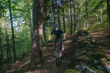 A mountain biker rides on a narrow, winding trail surrounded by lush green trees and a rocky stone wall in a dense forest. The sunlight filters through the leaves, creating a vibrant outdoor atmosphere. Mt. Peg mountain bike trail.