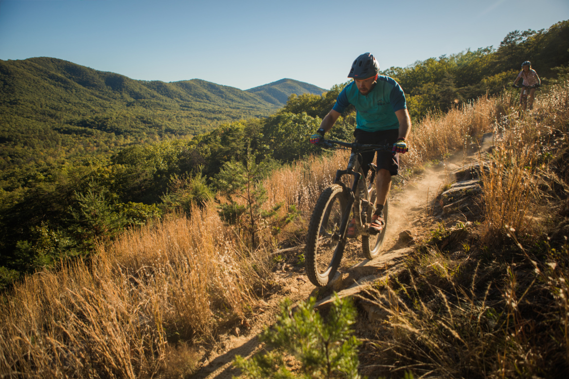 A mountain biker navigates a rocky trail surrounded by tall grass and lush greenery, with rolling mountains in the background under a clear blue sky. Dust is kicked up as the rider speeds along the path.